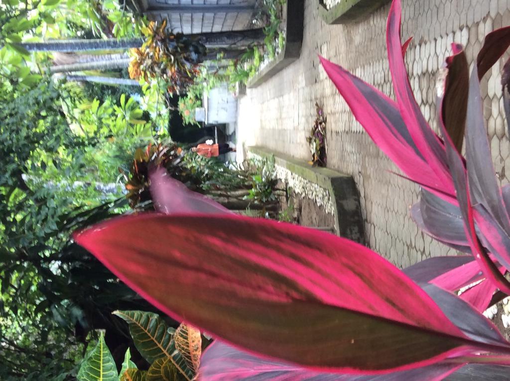 Bali Guest Villas Legian  Luaran gambar